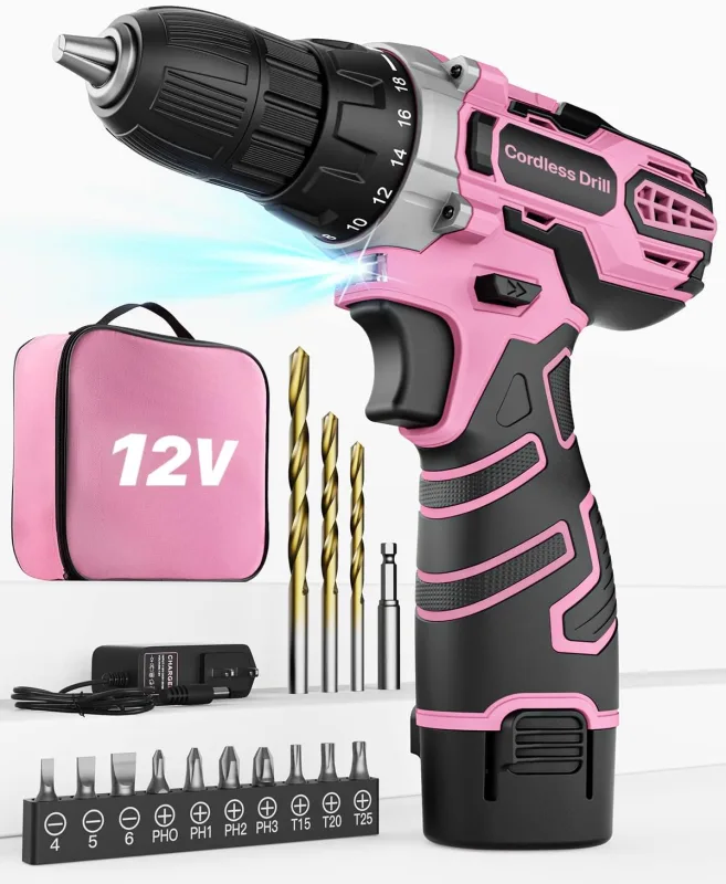 Drill Driver 12V, Pink Electric Screwdriver Battery, 2.0Ah Lithium Batteries, 2 Speed, 18+1 Torque Adjustment, LED Light, 15 Accessories and Bag, Cordless Drill for Repair and DIY