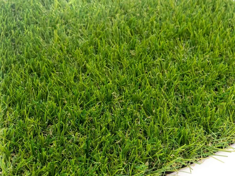 AFRODITA. 33 mm. Measures 2 x 5 m (10 m²). "You will fall in love".