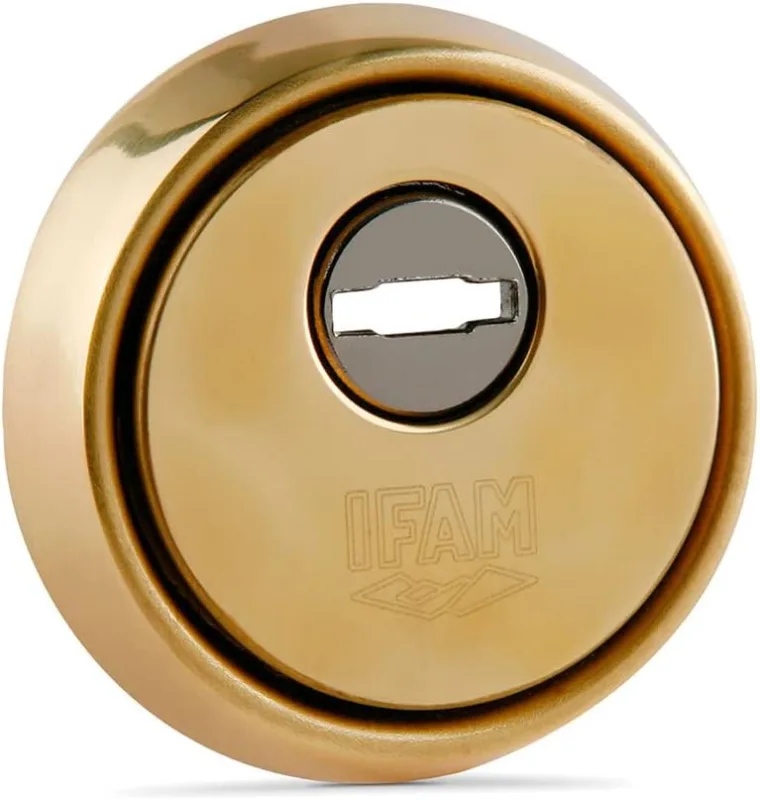 IFAM ES610 Locks Shield, Anti-Jaw Protection, Anti-Extractor and Anti-Drill, Steel Plate, Brass Colour