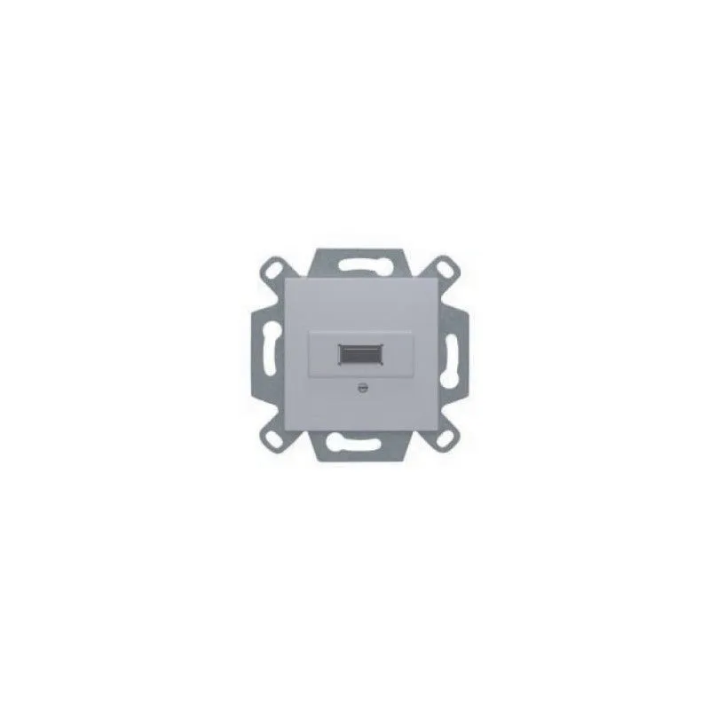 Conector usb tipo a color plata bjc viva 23578-usb-pl