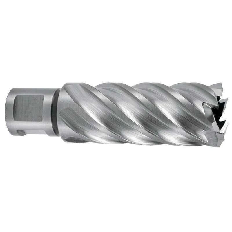 Broca hueca hsse-co 5 con vástago weldon (3/4) rectificada cbn profundidad de corte 55 mm (ø 12,0 mm) ruko 108512e