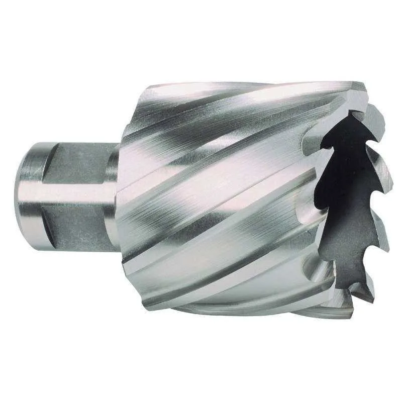 Broca hueca hss vástago weldon profundidad 30 mm (ø 43 mm) ruko 108243