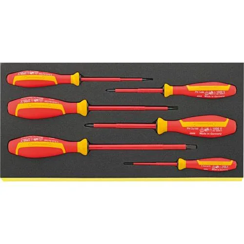 Stahlwille 96838766 juego herramientas, sistema bandejas tool control tcs 4660/4665