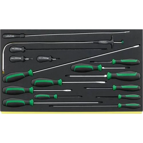 Stahlwille 96832098 juego herramientas, sistema bandejas tool control tcs 4621/4734/16
