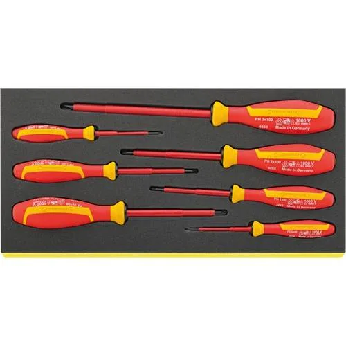 Stahlwille 96838785 juego de destornilladores en bandeja tcs tcs 4665/4670