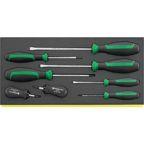 Stahlwille 96838769 juego de destornilladores en bandeja tcs tcs 4620-4737/8