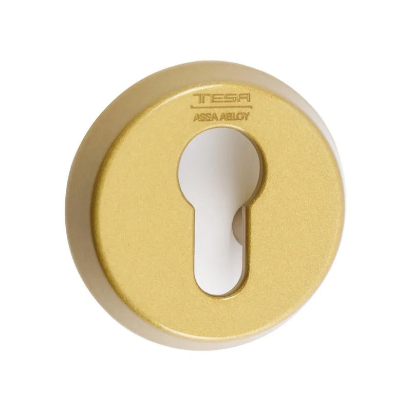 Escudo de seguridad e300 en latón mate