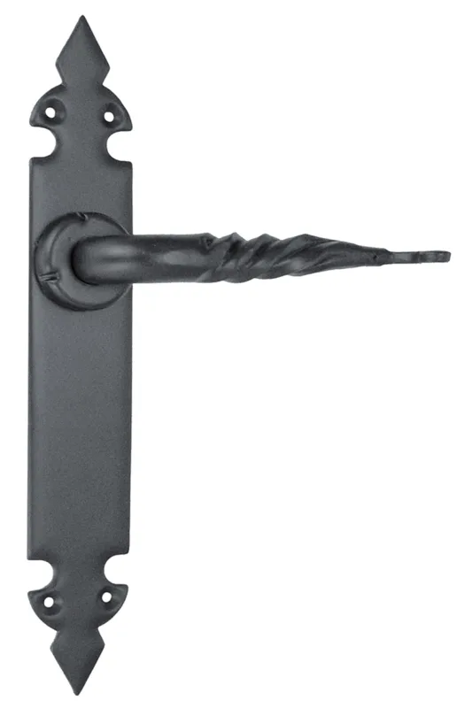 Manilla con placa para puerta bl-73163 de hierro en negro