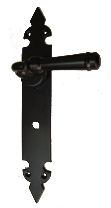 Manilla con placa para puerta bl-73173-c70 de hierro en negro