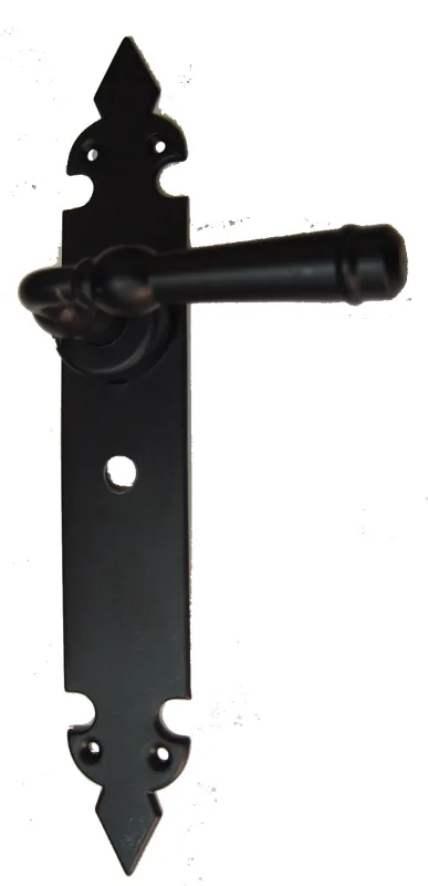 Manilla con placa para puerta bl-73173-c47 de hierro en negro