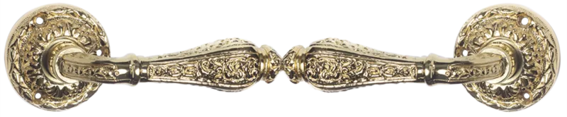 Tirador de puerta de latón dorado brillante.