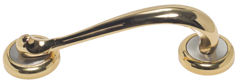 Tirador de puerta de latón dorado brillo