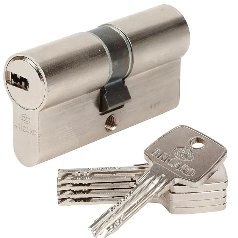 Cilindro de cerradura embragable bricard astral l.30 + 40 mm