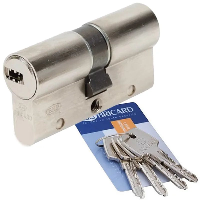 Cilindro de cerradura embragable bricard astral l.30+30 mm 5 llaves