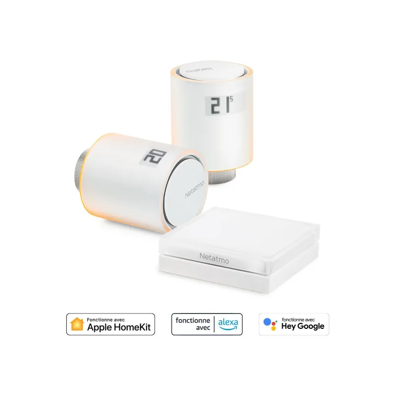 Kit de 2 válvulas termostáticas + relé