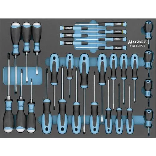 Hazet jeu de tournevis 163-524/31 ∙ profil à fente, profil phillips