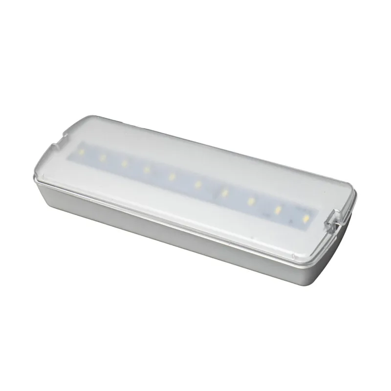 Luz de emergencia autotest 400lm blanco neutro