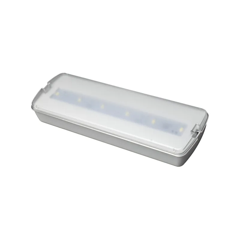Luz de emergencia autotest 160lm blanco neutro