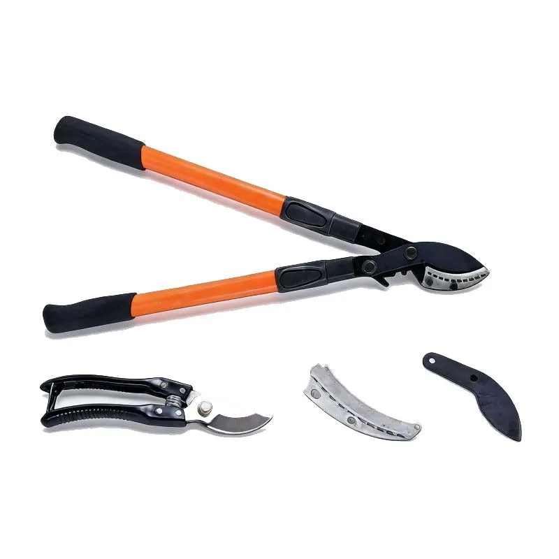 Qwinern conjunto de podador de ramas retráctiles, tijeras de ramas altas retráctiles, tijeras de flores, tijeras de ramas de frutas