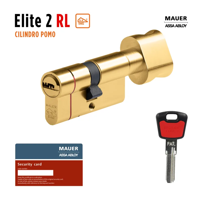 Cilindro perfil europeo (pera) de 31 + 31 mm mauer assa abloy oro