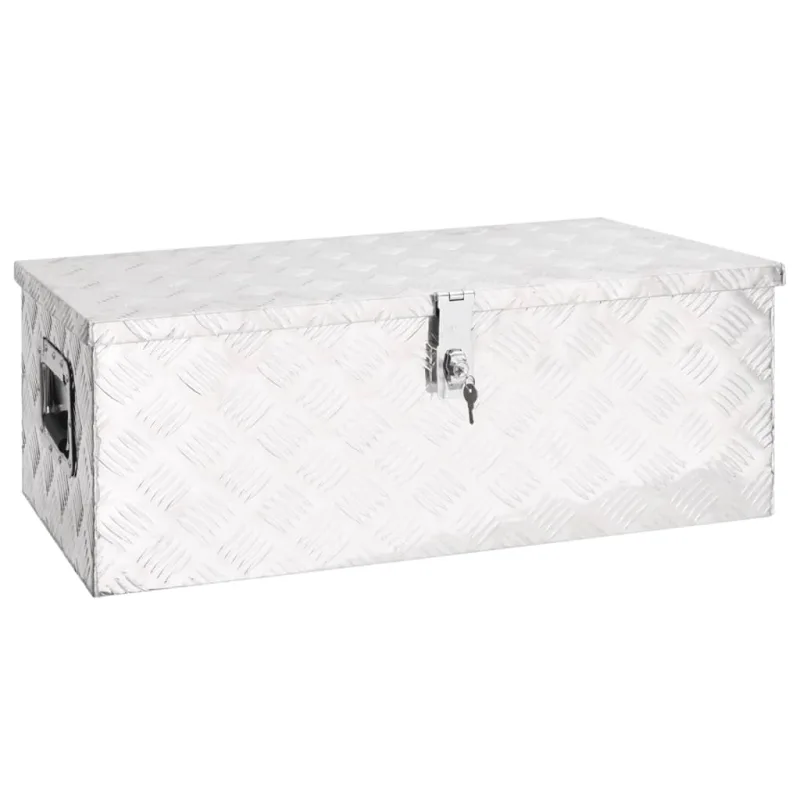 Caja de almacenamiento plata 80x39x30 cm aluminio