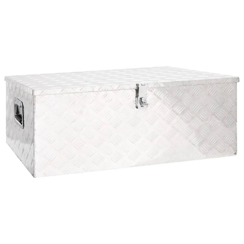 Caja de almacenamiento plata 100x55x37 cm aluminio