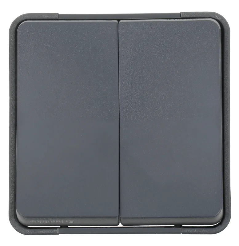 Interruptor doble schneider mureva gris