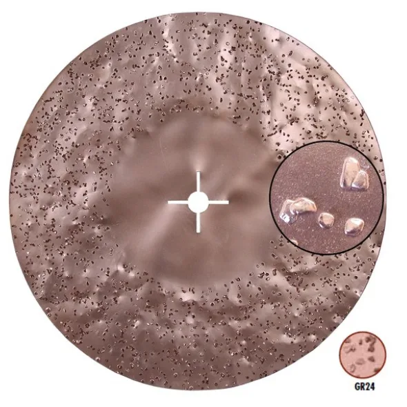 Disco de carb. de tungsteno doble cara ø450 mm w24