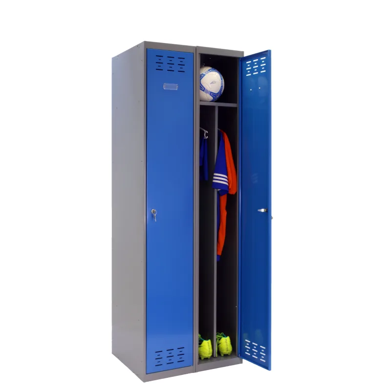 Taquilla single 2 divisores 100x180x50 cm montada color gris/azul 2 puertas