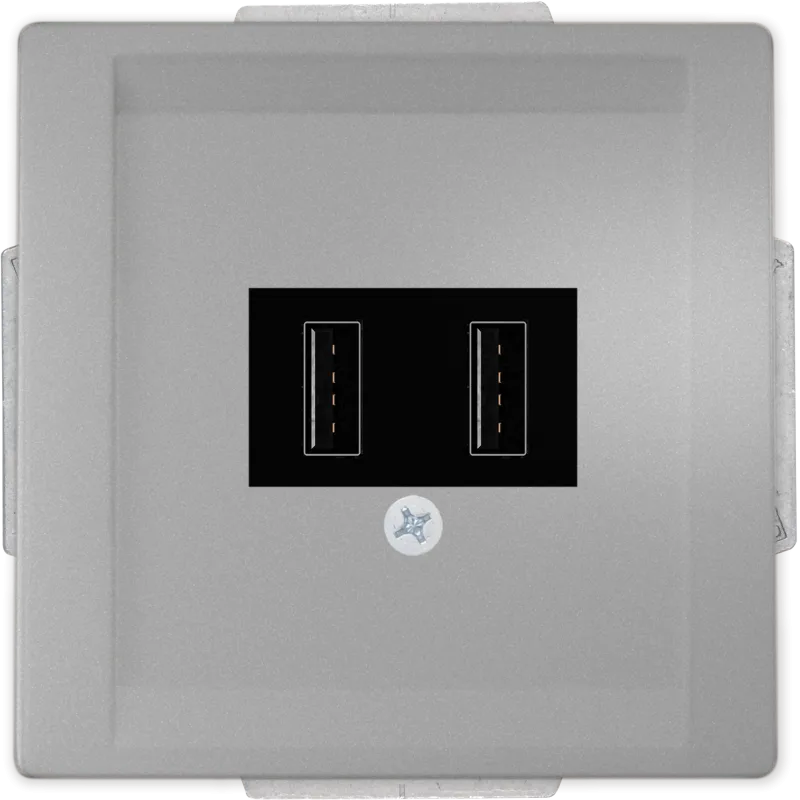 Toma doble cargador usb siemens style platino