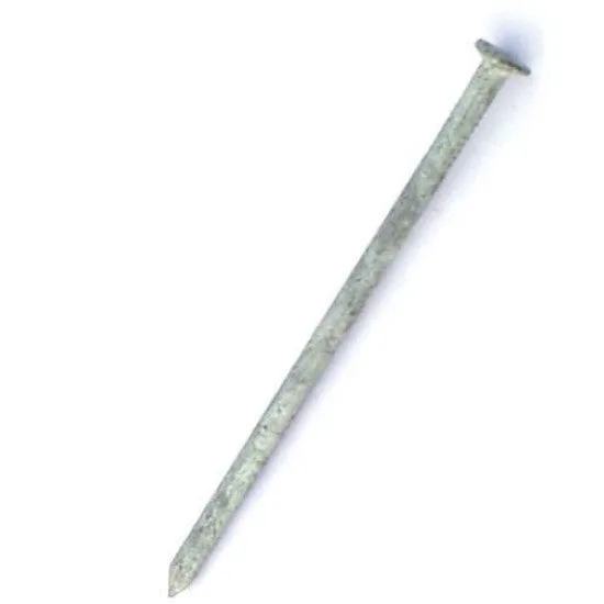 Pointe tête plate dimos ronde lisse galvanisé