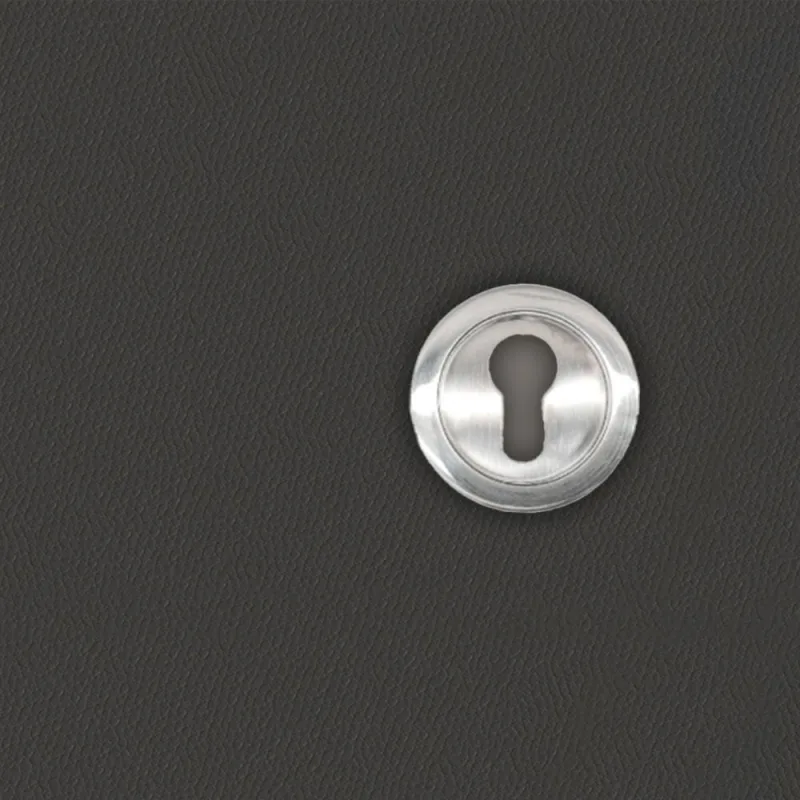 Manilla de gancho cilíndrica empotrada con enchufe para puerta corredera