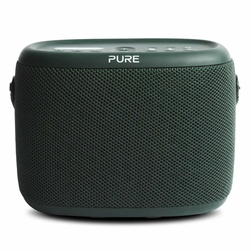Radio am/fm pure pure woodland