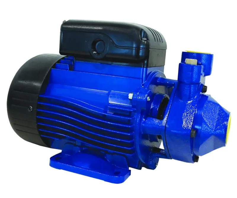 Bomba de agua eléctrica para aplicaciones domésticas y pequeños riegos lowara pm - modelo pm40