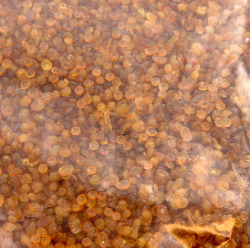 Pegamento de cuentas para restauración 25 kg