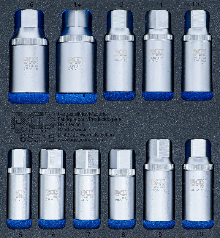 Bandeja para carro 1/6: juego de extractores de espárragos | 5 - 16 mm | 11 piezas