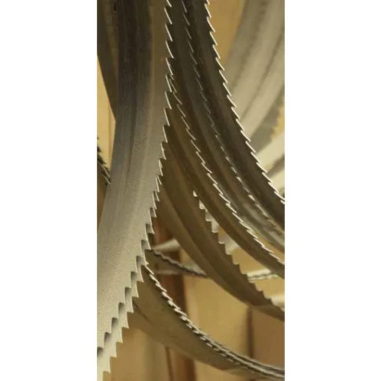 Hojas de sierra de cinta bimetálicas femi 2565x27x0,9 mm- juego de 5 piezas - 5/8 z/1 - 3280031