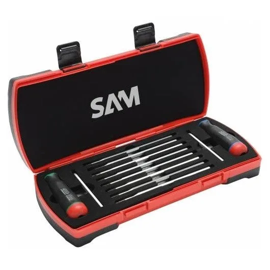 Coffret tournevis dynamometriques 0,6 - 3,0 nm avec embouts sam - dyvisj1