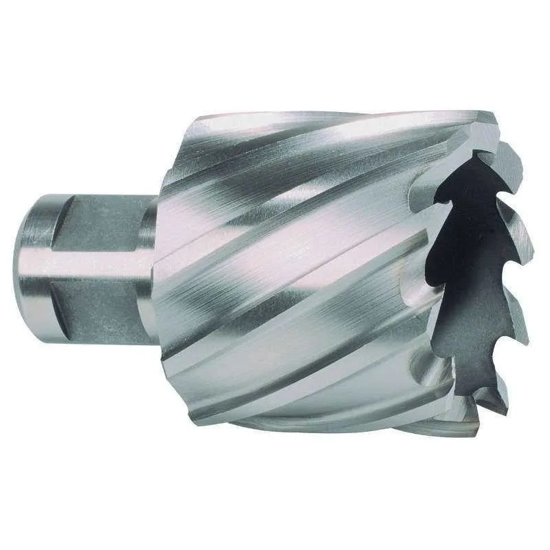 Broca hueca hss-co 5 cobalto vástago weldon (ø 29 mm) ruko 108229e