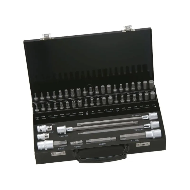 Conjunto de bits. 49 pc. eje de 10 mm