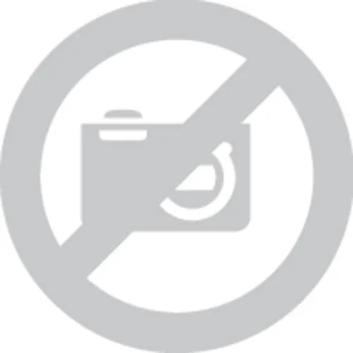 S3 safety floor 2 src gr. 41 purshle w11