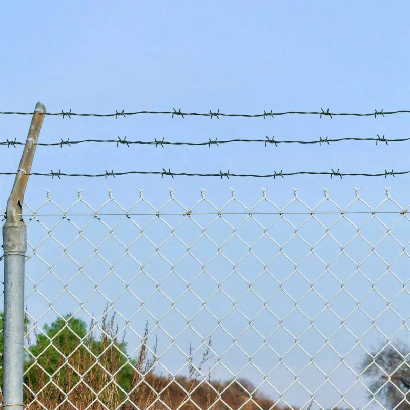 Alambre de púa verde 100 m vidaxl