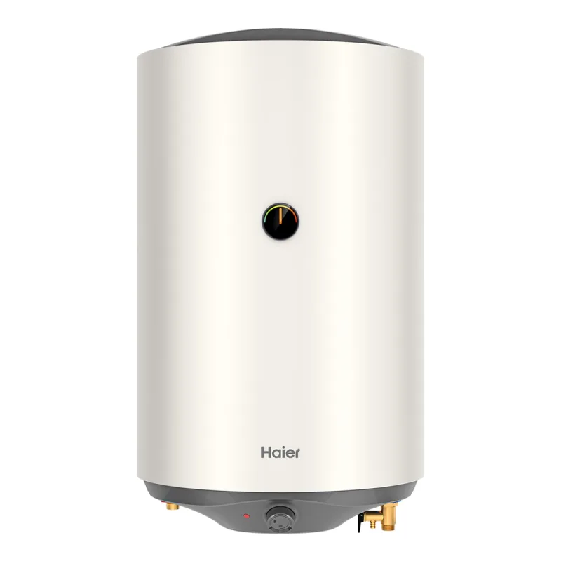 Haier - Termo Eléctrico Vertical/Horizontal Haier ES100V-RM1 con capacidad de 100 litros.