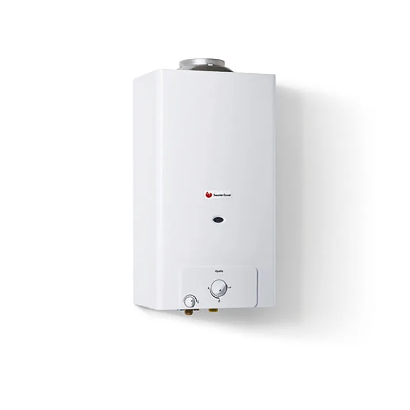 Saunier Duval - Calentador a gas Saunier Duval Opalia C 14 BP atmosférico Bajo Nox.