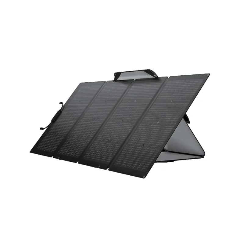 ECOFLOW - Placa Solar Fotovoltaica Bifacial 220W.