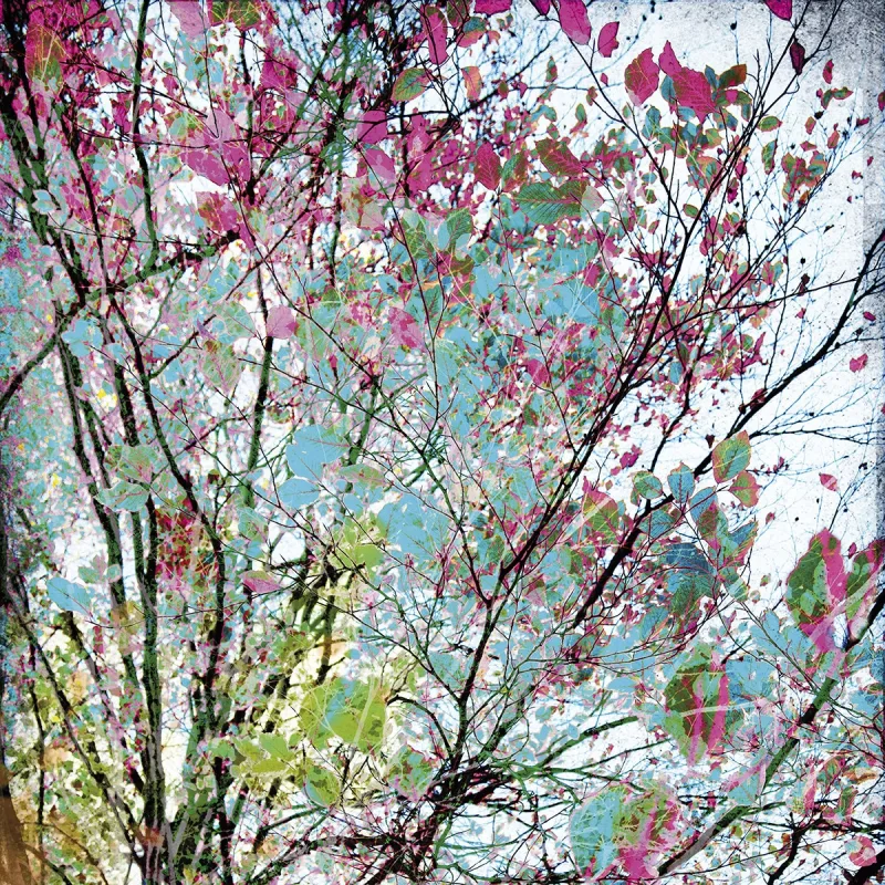 Rasch - Fotomural Branches Rasch.