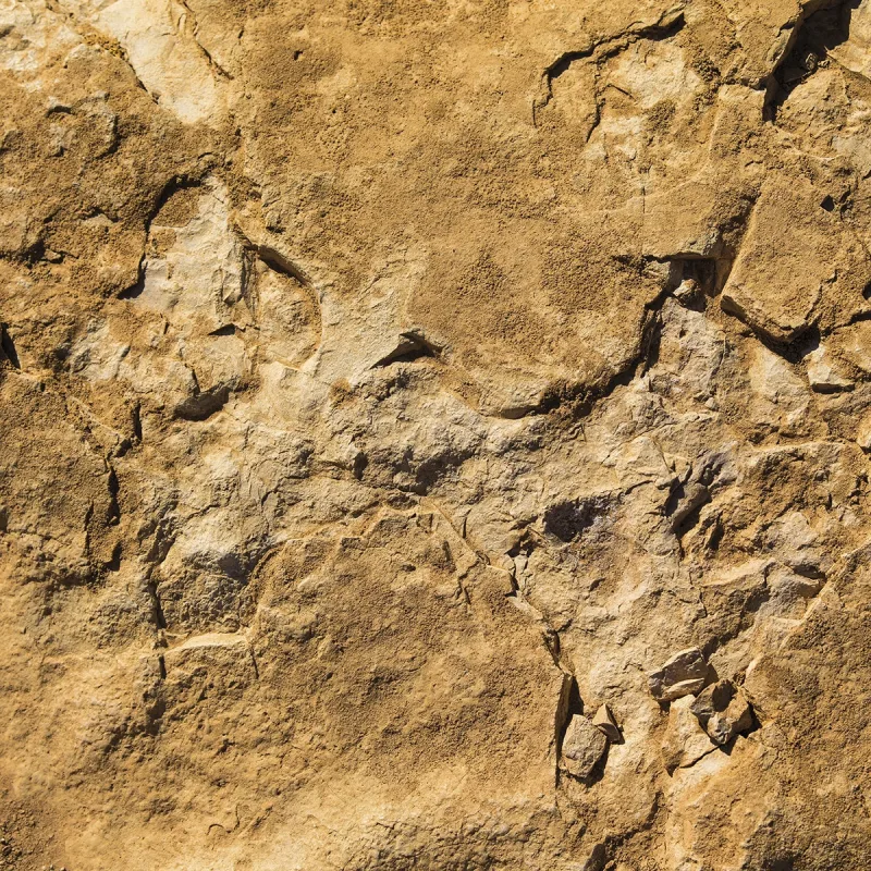 Rasch - Fotomural Stone Rasch.