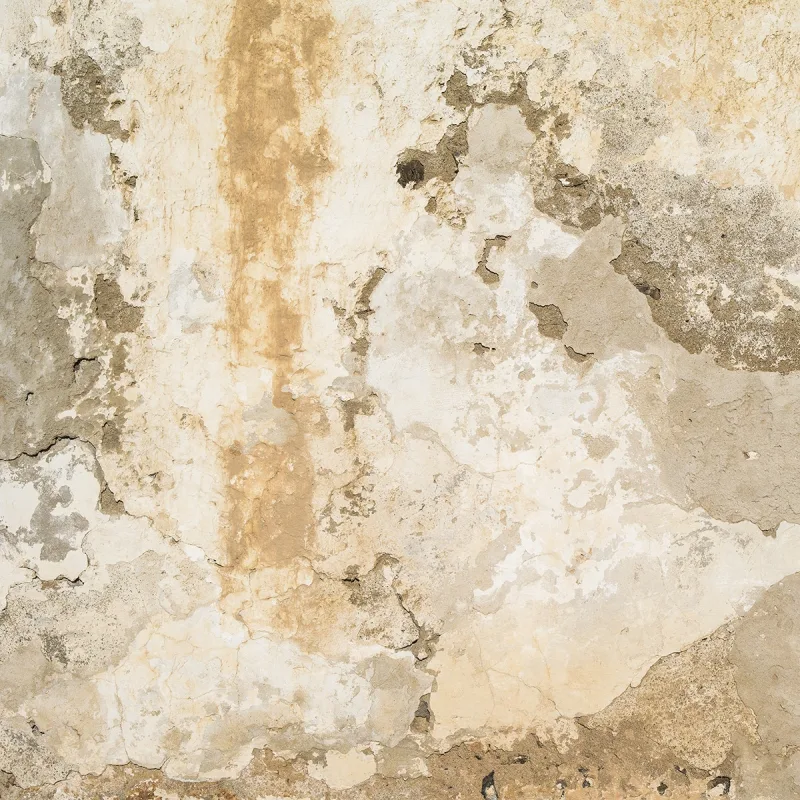 Rasch - Fotomural Plaster Wall Rasch.