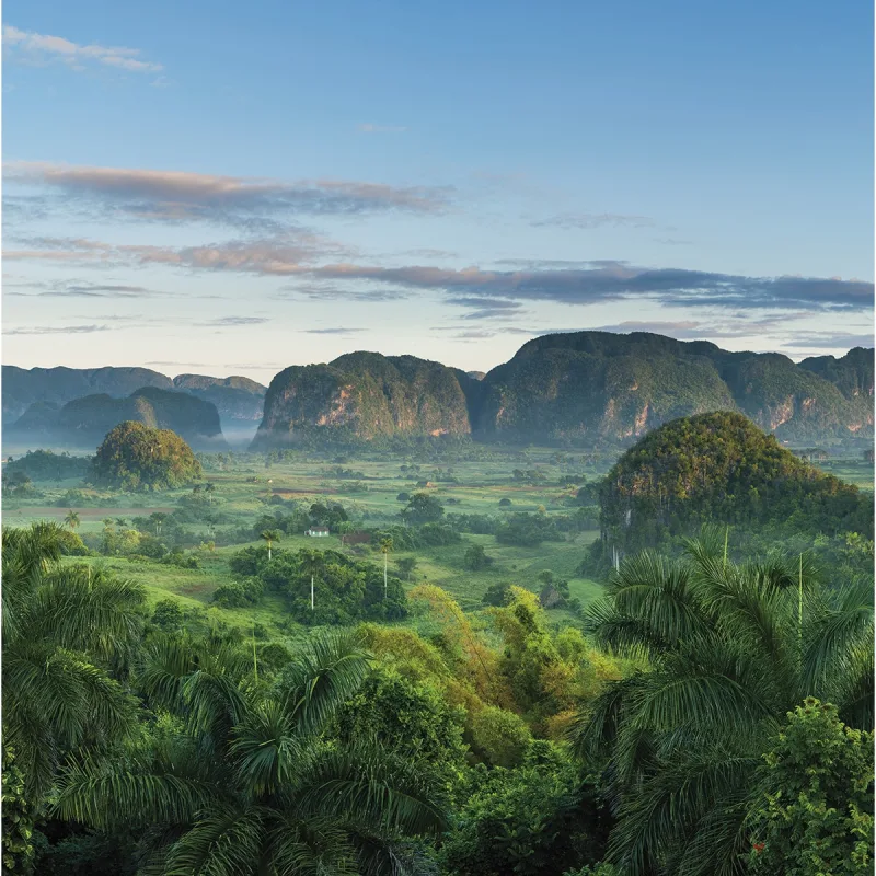 Rasch - Fotomural Cuba 2 Rasch.