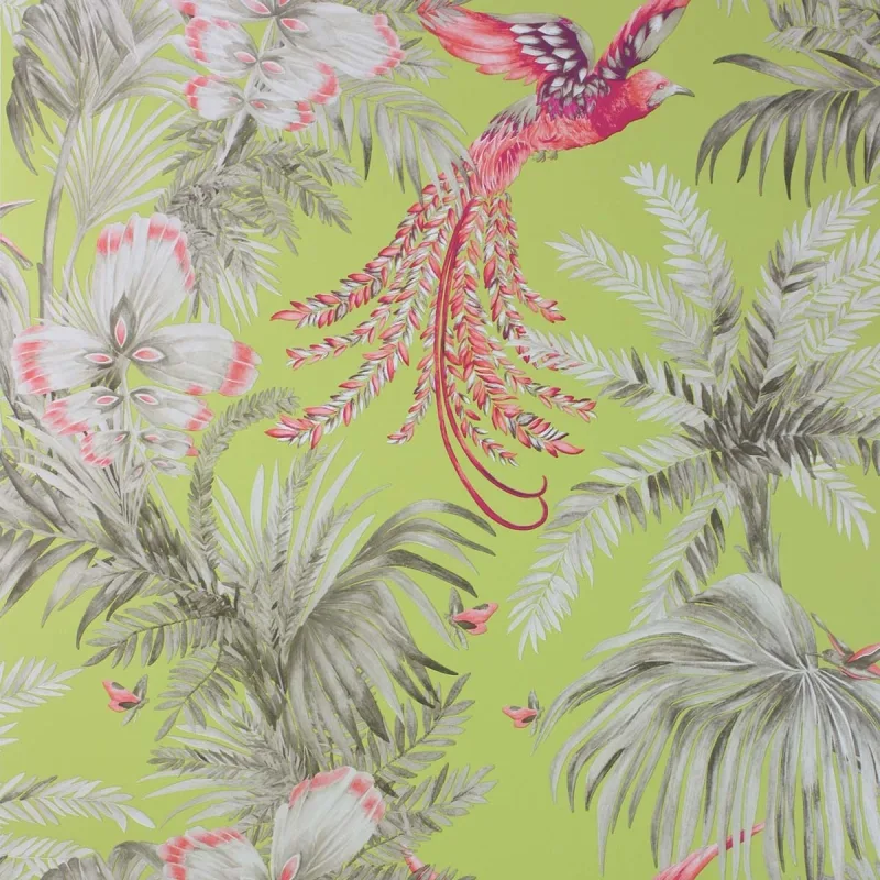 Osborne & Little - Papel pintado Bird of Paradise Osborne & Little.